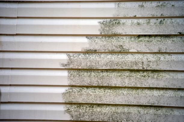 Best Storm Damage Siding Repair  in USA